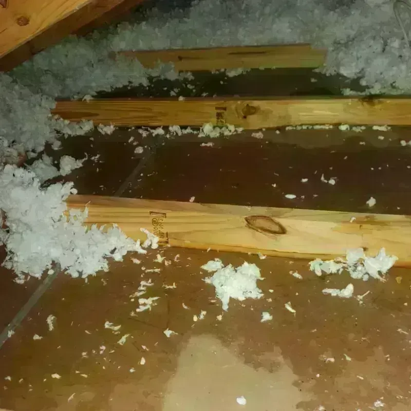 Attic Water Damage in Leavenworth County, KS