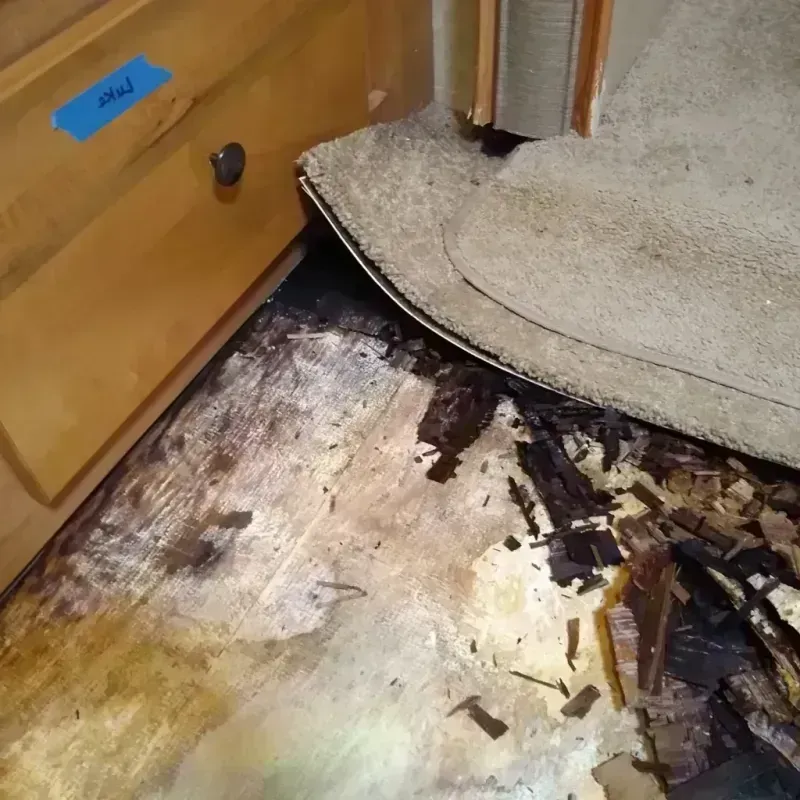 Wood Floor Water Damage in Leavenworth County, KS